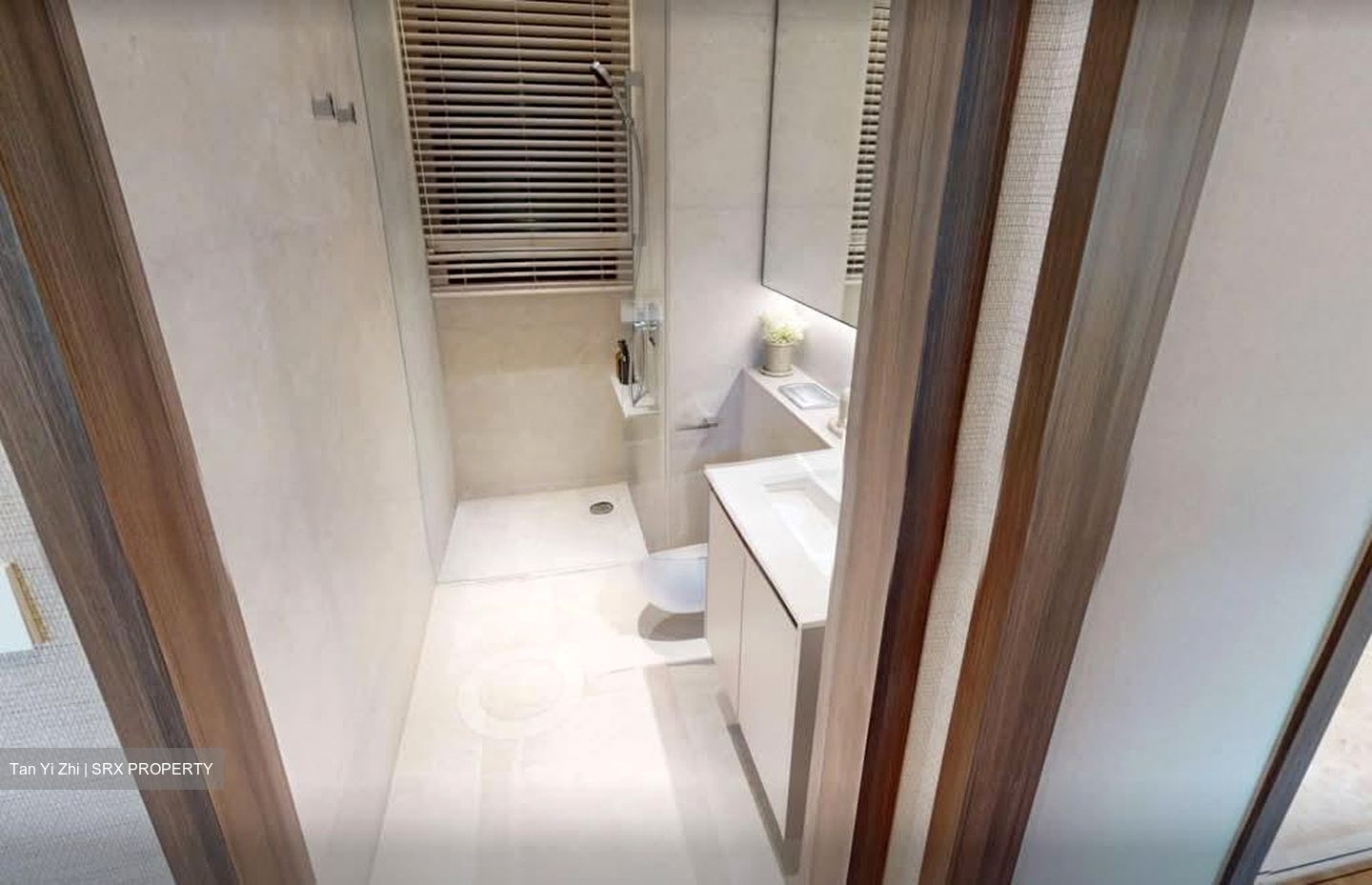 Dunearn Road (D11), Condominium #591358961